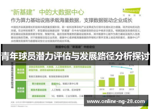 青年球员潜力评估与发展路径分析探讨