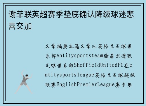 谢菲联英超赛季垫底确认降级球迷悲喜交加 谢菲联英超赛季垫底确认降级球迷悲喜交加